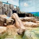광주광역시 우치동물원 동물병원 연합뉴스