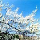 백운산민박 이미지