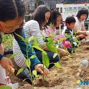 다하누 농장 이미지