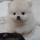 오금로36길 이미지