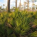 김정문알로에수정점 이미지