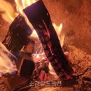 순라황토펜션 | 순라황토펜션 노키즈 조건 먼저 볼 포인트