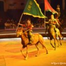 포니제주 이미지