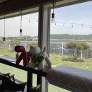 퍼피빌리티 이미지