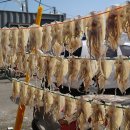 영주식당 이미지