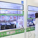 동아시장 이미지