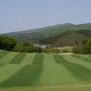 타미우스 컨트리클럽 이미지