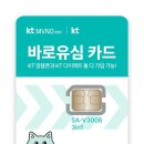동탄선불폰