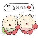 무교동낙지샤브칼국수 이미지