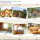 원 건강식품 건강약초