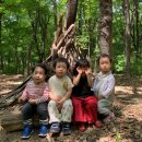 (단기)숲밧줄체험놀이지도사입문(자격증) | 3월 숲체험