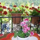 그대애개 이미지