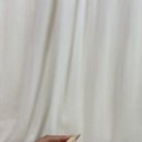 누리댕댕 이미지