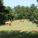 청수목장 이미지