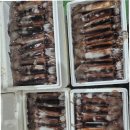 군산수산업협동조합(비응항)