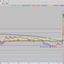 엘에스엠컴퍼니 이미지