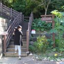 사직공원 유아숲체험원 이미지