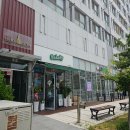 샐러디 선재스님 콜라보 내돈내산! 고추간장 취나물 비빔밥·양송이 크림스프 후기