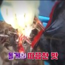 돌게민박 이미지