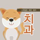 24시 강서 젠틀리동물의료센터 이미지