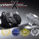 루페스빅풋 디테일링센터 포항점 이미지