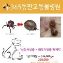 365동판교동물병원 이미지