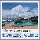 시흥시 월곶에코피아 워터파크 후기 (예약 방법/할인정보/준비물)