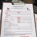 조원 동물병원 이미지