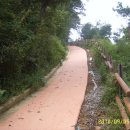 비봉산 투어로드 이미지