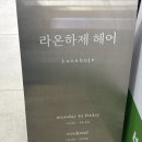 라온하제헤어 공덕점