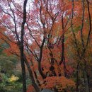 홍계마을 이미지