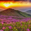 5월 첫째주 주간 주식시황 이미지