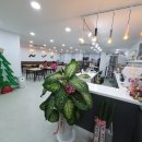 부천, 시흥, 광명, 인천 보드게임 카페, &#39;루덴스&#39; 오픈 &amp; &#39;2019 경기 부천 한국 보드게임 클랜 챔피언십...