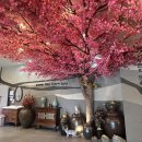 UR(오산시)-[큰말길]-상-1 | 오산 아이랑 가족식사하기 좋은 무한리필 제육볶음 맛집 홍매화쌈밥에서 우렁쌈밥 먹기