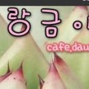 금안농원 이미지