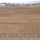 로타리슈퍼 - 포항시 북구 서동로 85 | 로타리슈퍼