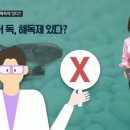 복어독 해독제가 있다 VS 없다 이미지