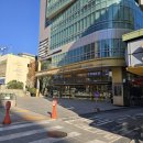 우주개스타 | 🎄결혼 준비 4탄! 종로 단성 골드주얼리센터 <그린스타>에서 결혼반지 맞추기 후기💍