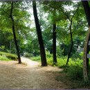 우면산7-2-5 이미지