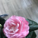 천중농장 이미지