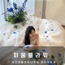 W-12 천안 플라워디렉팅 부케 피움플라워 후기