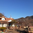 찐촌바이브