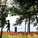 남해바래길 이미지