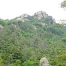 솔바람길 | 예산 걷기 - 수암산 솔바람길