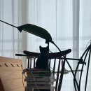 24시 숨 동물병원 이미지