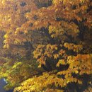 아크로타워휘트니스센터 이미지