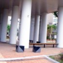 복수계룡 이미지