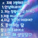 청월 이미지
