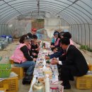 성환농장 이미지