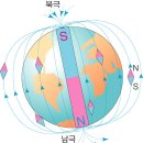 팔랑귀